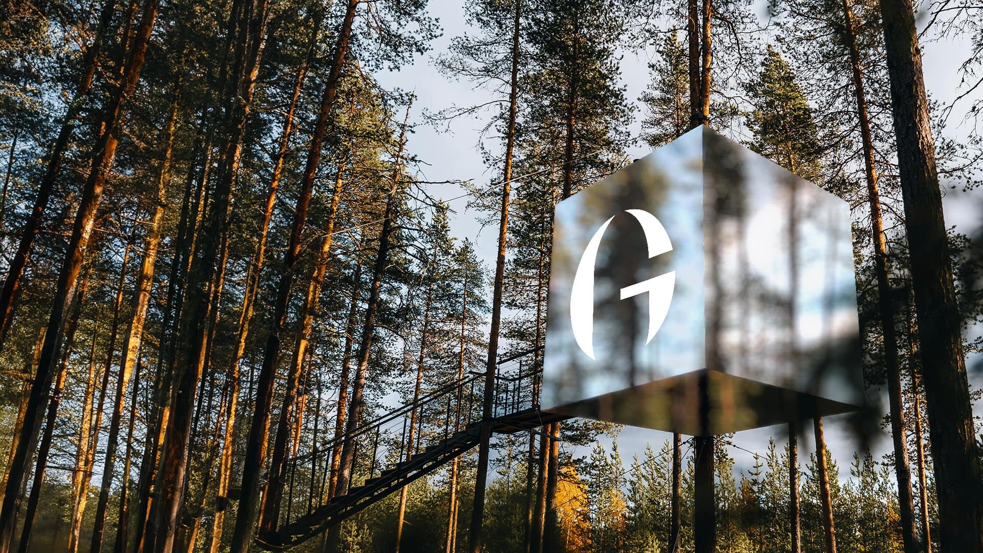 The Gathering clubhouse in the forest